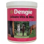 Dengie Leisure Vits & Mins