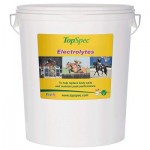 Top Spec Electrolytes