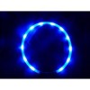 Animate LED Loop Blue