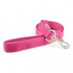 Ancol Padded Nylon Lead Raspberry