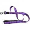 Hemm & Boo Check Lead Purple