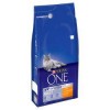 Purina One Cat Chicken