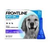 FRONTLINE Spot On Dog Large - 3 pipettes