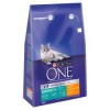 Purina One Senior Chicken