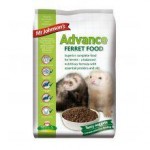 Mr Johnson's Advance Ferret