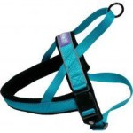 Hemm & Boo Padded Harness Aqua