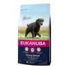 EUKANUBA Caring Senior Large Breed Rich In Fresh Chicken