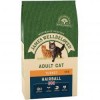 JAMES WELLBELOVED Adult Cat Hairball Turkey & Rice