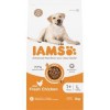 IAMS for Vitality Adult Large Dog Food with Fresh chicken 2kg