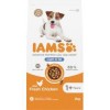 IAMS for Vitality Light in fat Dog food with Fresh chicken 2kg