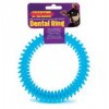 Pennine Dental Ring Dog Toy