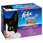 Felix Kitten Mixed Selection in Jelly 12 Pack