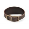 Ancol Timberwolf Greyhound Leather Collar