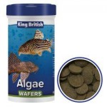 King British Algae Wafers