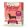 Naturediet Feel Good Salmon 200g