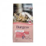 Burgess Adult Cat Scottish Salmon