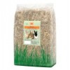 Burns Green Oat Hay