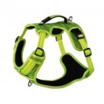 Rogz Utility Explore Harness Dayglo