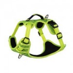 Rogz Utility Explore Harness Dayglo