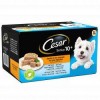 CESAR Senior Dog Trays Mixed Selection in Jelly 8x150g