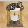 Rosewood Saffron Cat Post