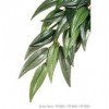 Exo Terra Silk Ruscus Plant