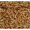 Supa Dried Mealworm