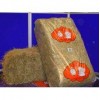 Animal Dreams Hay Bale