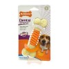 Nylabone Pro-Action Dental - Medium