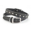 Ancol Leather Collar Studded Black