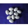 Pigeon Dummy Hollow Eggs Pack of 10