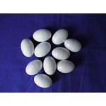 Pigeon Dummy Hollow Eggs Pack of 10