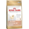 Royal Canin Labrador/Retriever Junior 33 Dry Mix 3 kg