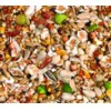 Premium Wild Bird Food