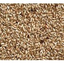 Plain Canaryseed 20kg