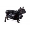 Black Shiny PVC Dog Poncho Cape Raincoat 20 inch