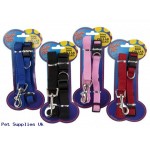 2PC DOG LEAD & COLLAR SET ON  CARD MATERIAL PP 2 ASST SIZES