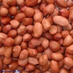 Wild Bird Peanuts 20kg