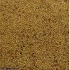 Colonels Foreign Finch Seed 2 kg