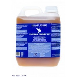 Energy Drink BVP 2 Litre