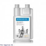 Mobileaze EQ | Bute Substitute for Equine Mobility 1000ml